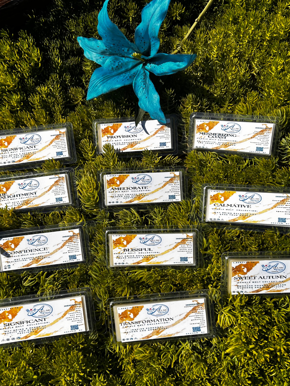 "Luxury aromatherapy wax melts clamshell collection — hand-poured premium soy blends for home wellness by A Pillar of Light"