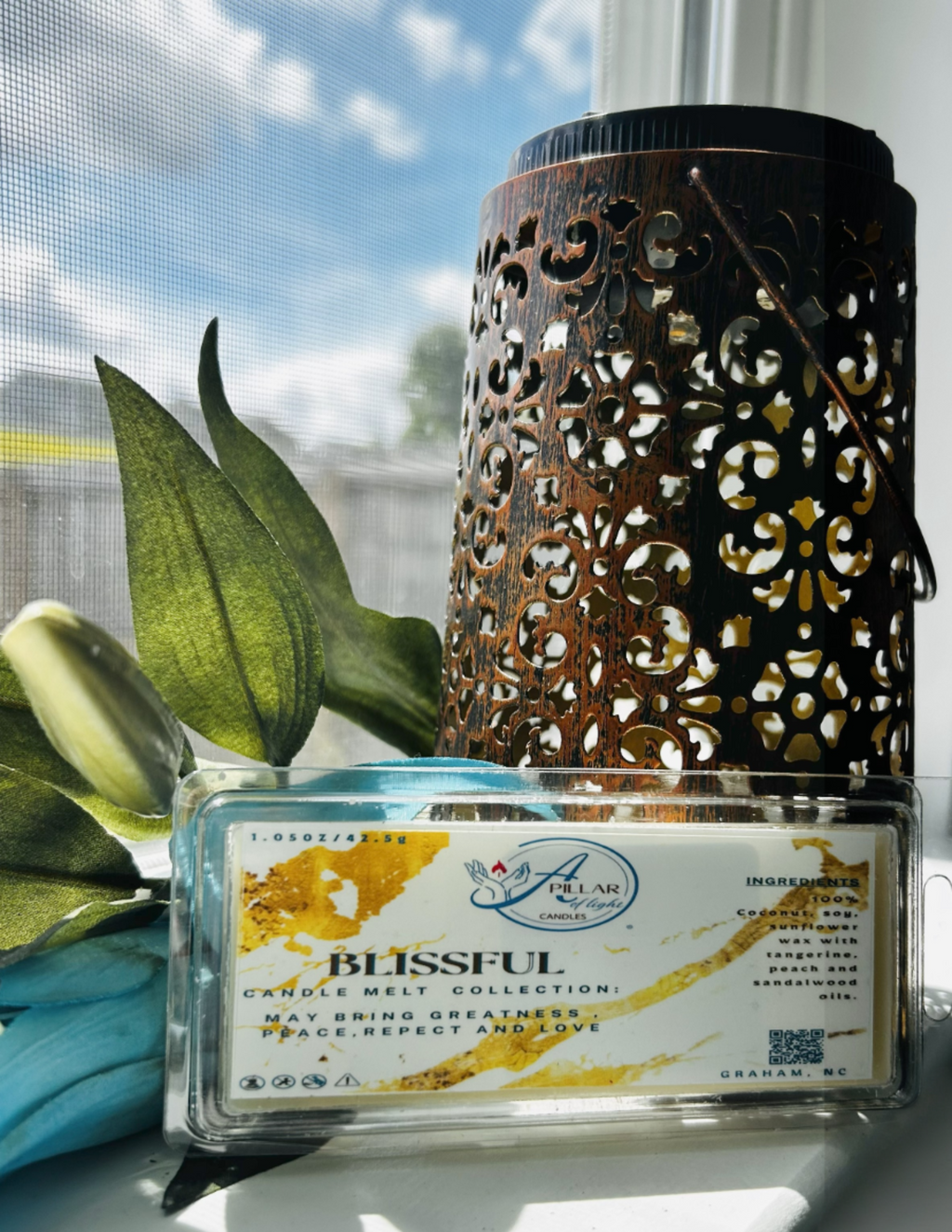 home atmosphere with Blissful Peach Tangerine wax melt 