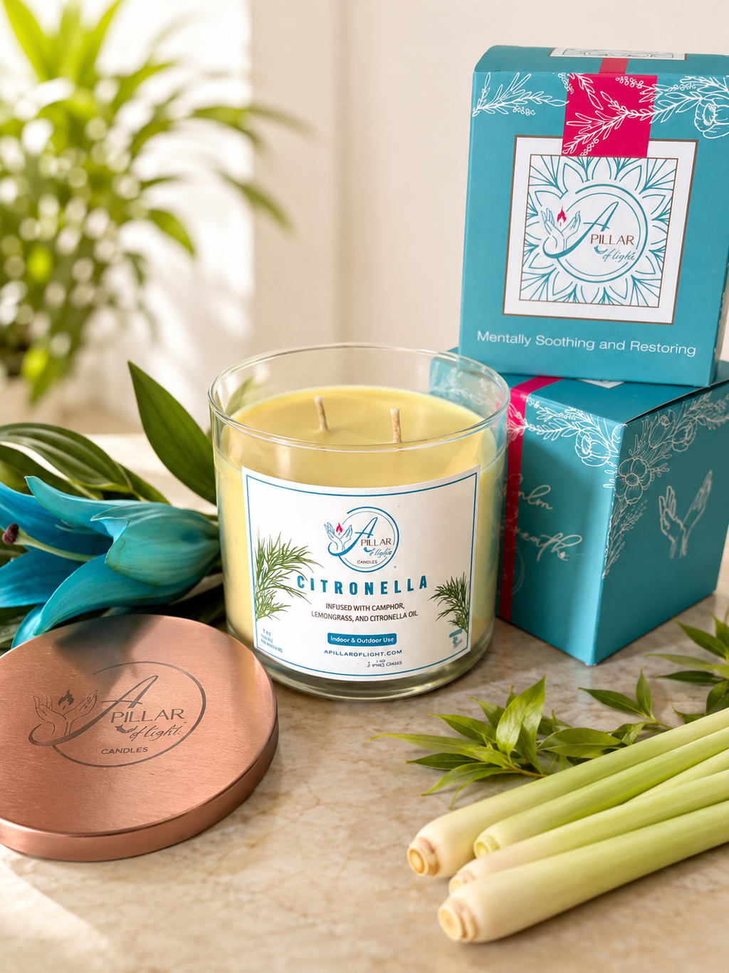 Citronella Indoor & Outdoor Candle | Camphor, Lemongrass & Citronella Oil
